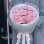 Моно из розовых диантусов