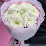 СОБРАН 23а